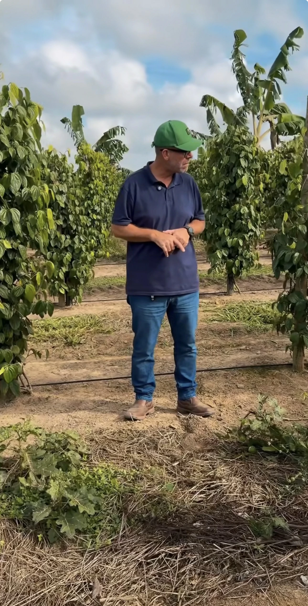 Experiência prática da Erasmo Agro no campo — imagem 4 de 38